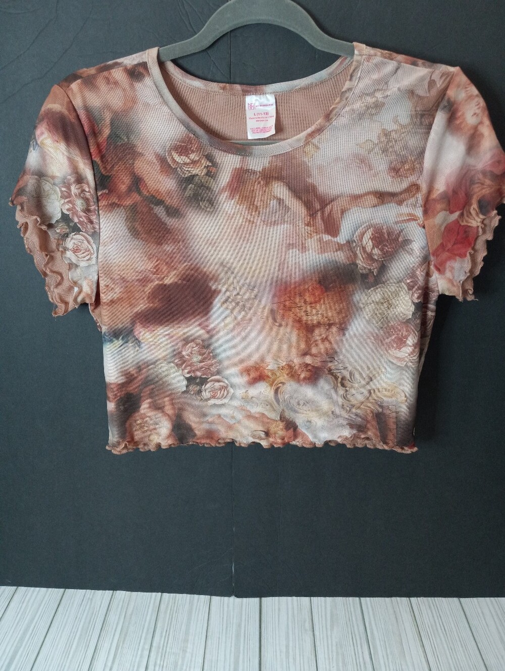 No Boundaries Y2K Double Layer Sheer Angel & Floral Print Ruffle Baby Tee